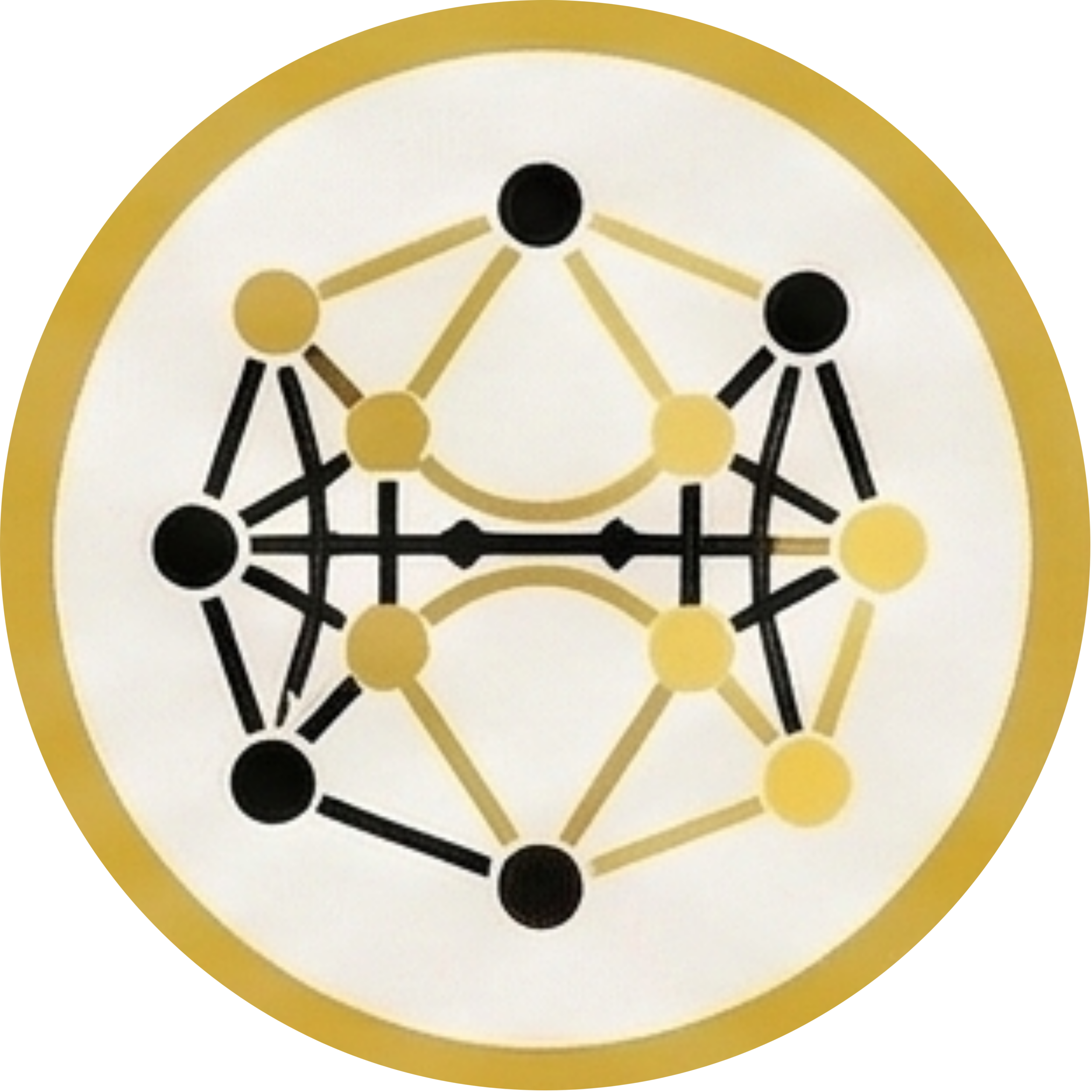 Social Capital icon